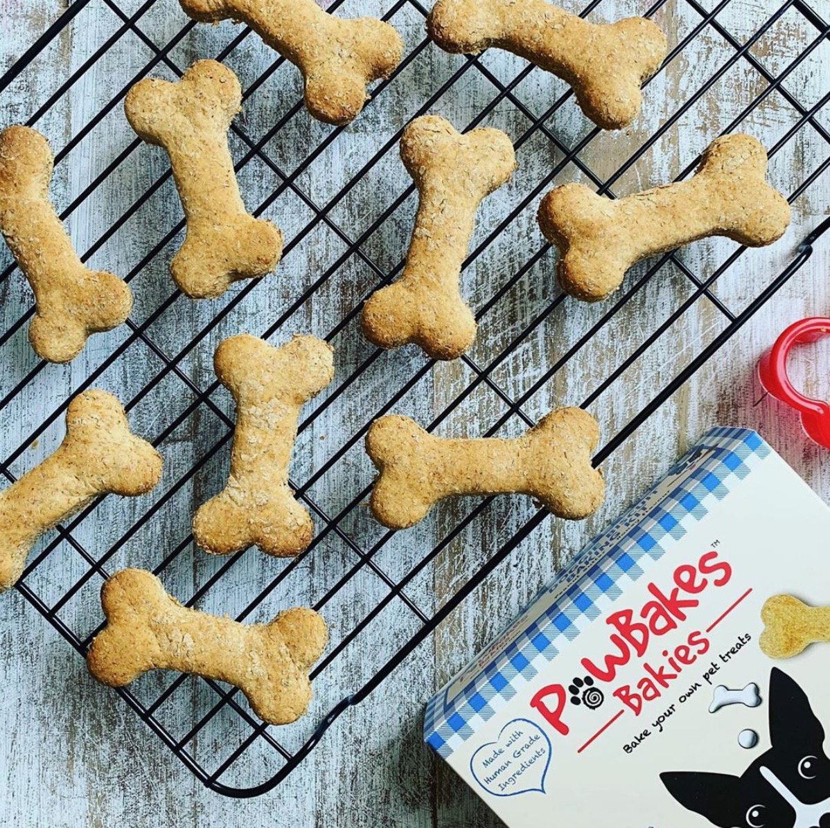 What’s back in stock, tastes delicious, has all-natural ingredients AND is super fun &amp; simple to make? 

PawBakes Doggie Baking Kits! 🎉🐶 
#dogbakingkits
