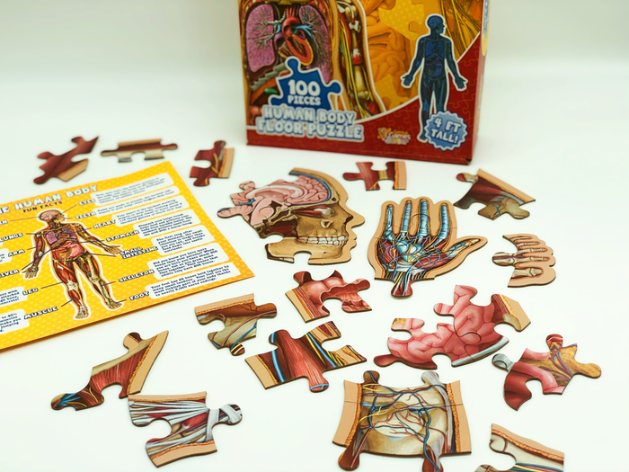 mesabree's tweet photo. Hey, guess what?  
@GotGeniusGames made a kid's version of the anatomy puzzle! 
4 ft tall, pieces for young learners - get nerdy!

Available for preorder here:
https://t.co/KUFjWE65pw
#jigsaw #puzzle #anatomy #anatchat #MedTwitter #medart #sciart #scigames https://t.co/2lUbQVIoMf