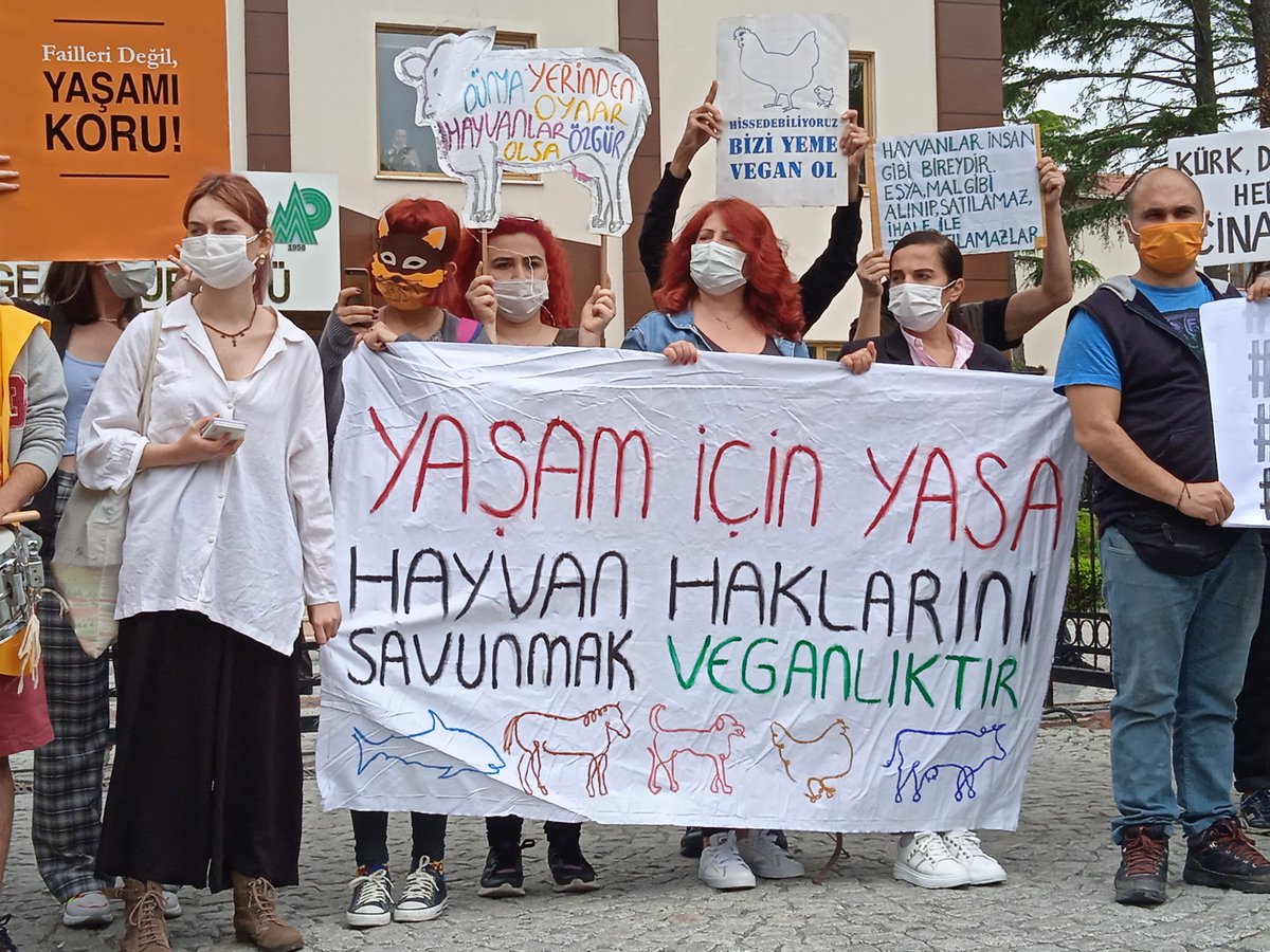 Yaşam İçin Yasa İstiyoruz.
#FailiDeğilHayvanıKoru