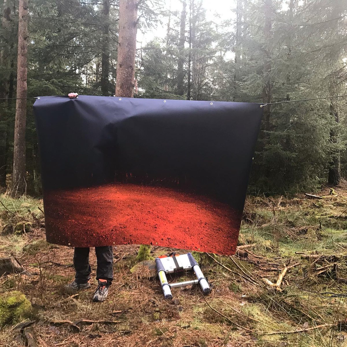 HelenMcGhie's tweet photo. There is still some time to see my work in the #SelfScapes #exhibition @dalby_forest - its on the #gruffalotrail. It would be wonderful to hear some feedback from you about this work - how are you experiencing it online? Have you seen the work in situ? What did you think? #dalby https://t.co/iaLXklUoKC