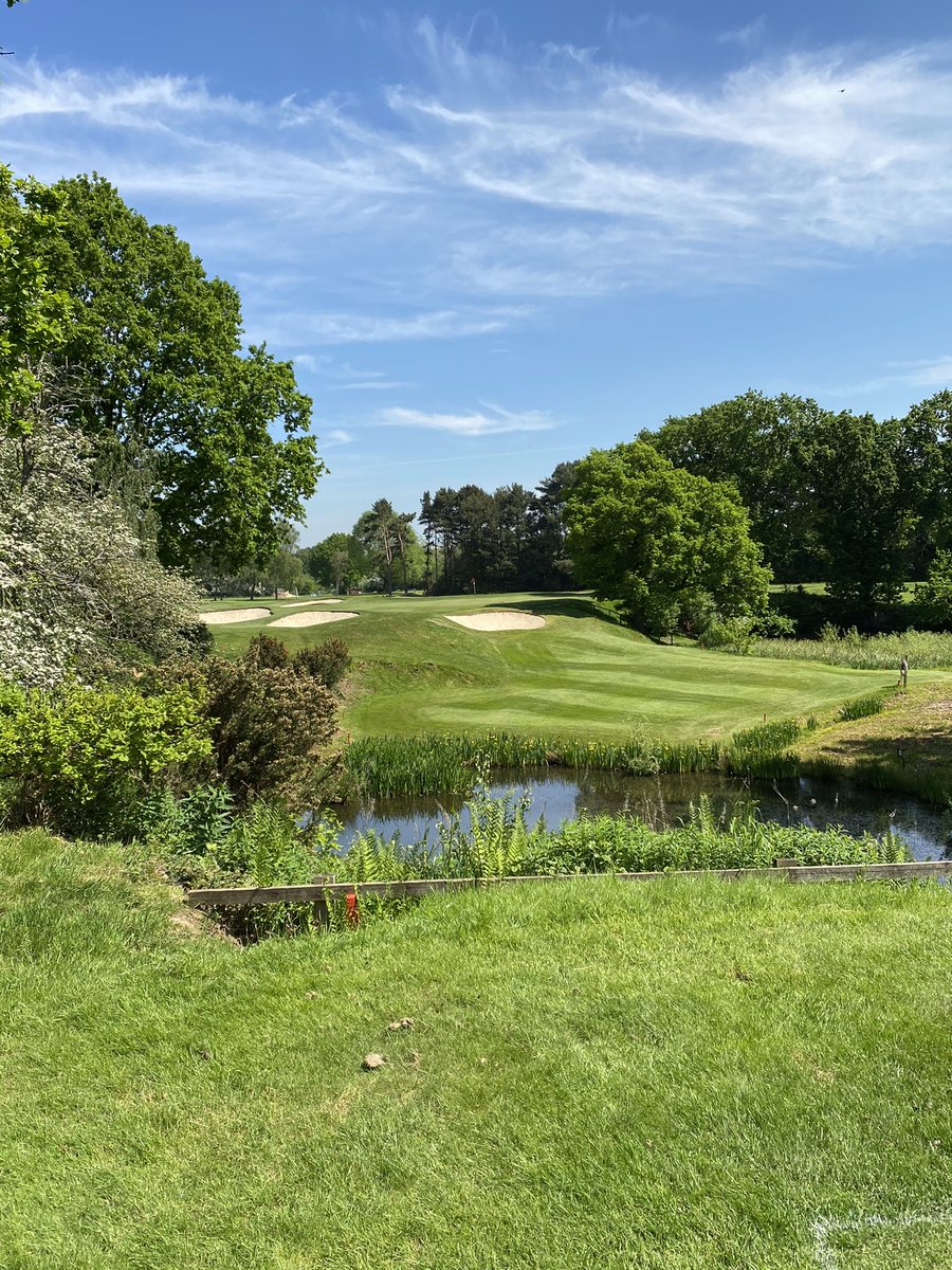 13th at <a href="/CoptHeathGC/">Copt Heath Golf Club</a> looking good in the sun.