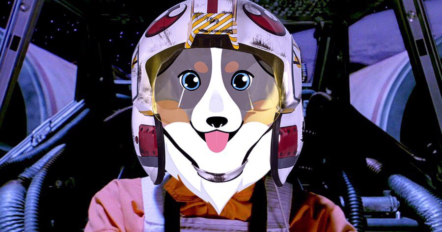 rekt_tekashi's tweet photo. “It surrounds us and penetrates us; it binds the galaxy together.”

Use the $Ass https://t.co/tsWHBfLv7u