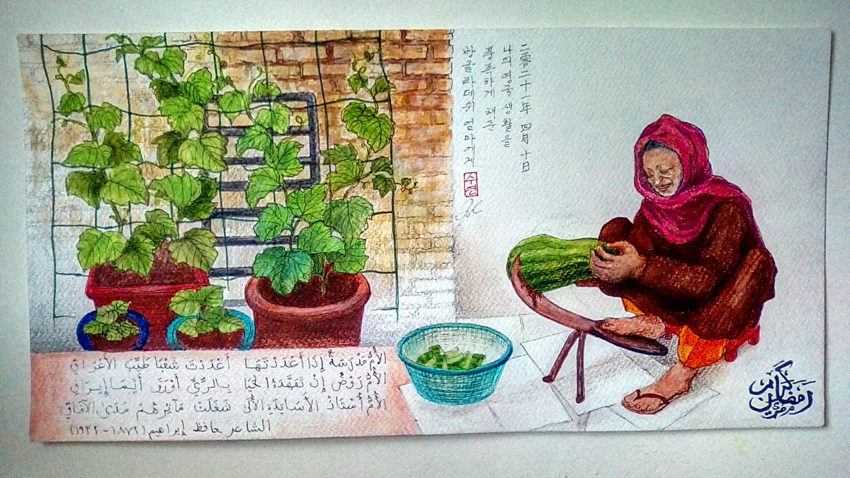 #bangladeshi #traditionalknife #pumpkin #plant #arabic #present #ramadan #illustration #drawing