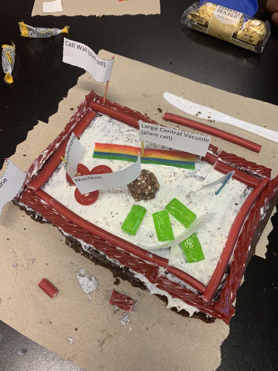 MrsSerena1's tweet photo. Edible cells part 2 that my @IMS_Indians worked on this week! https://t.co/ntmyyJ3VMd