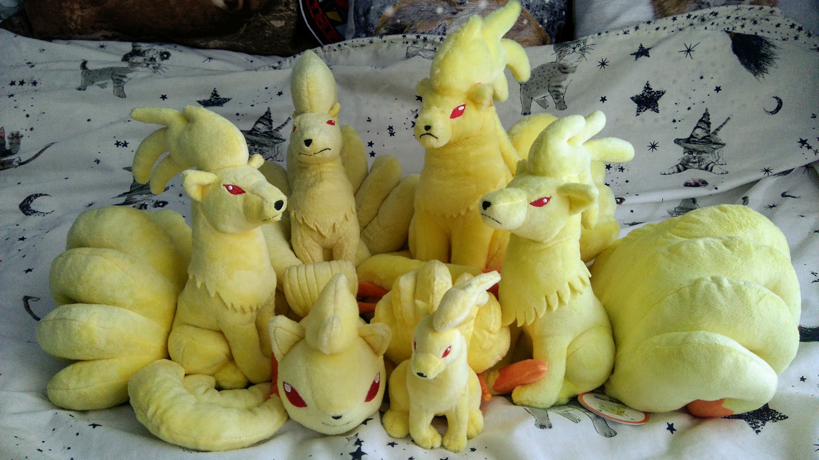 Soital X Ninetales plush collection all official ones so far this is 100 complete To.my knowledge https t w2LMC7xCSZ X