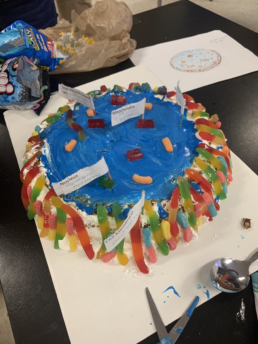 MrsSerena1's tweet photo. Some more edible cell cake models that my @IMS_Indians students worked on this week! A great way to review the parts of the cell! @collierschools @CollierScience https://t.co/cAyLzWLJrt