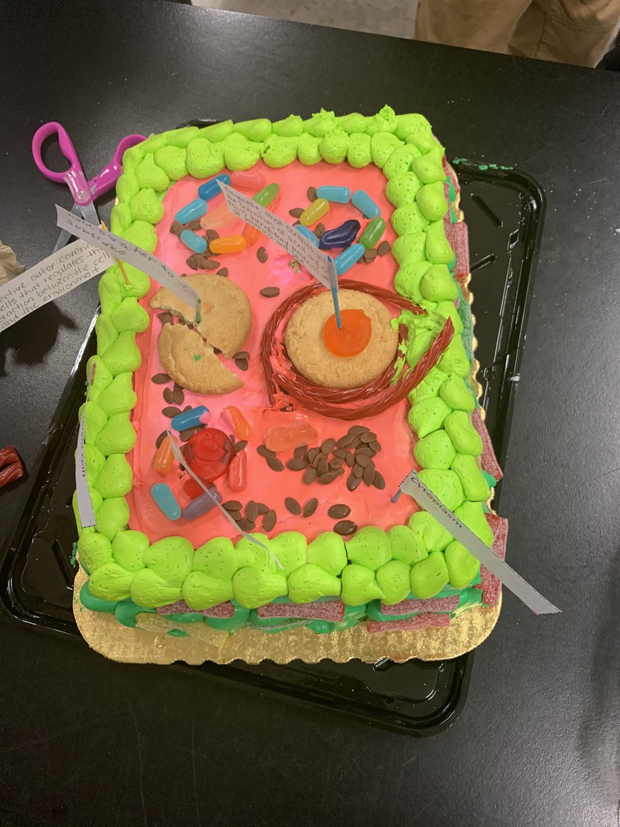 MrsSerena1's tweet photo. Some more edible cell cake models that my @IMS_Indians students worked on this week! A great way to review the parts of the cell! @collierschools @CollierScience https://t.co/cAyLzWLJrt