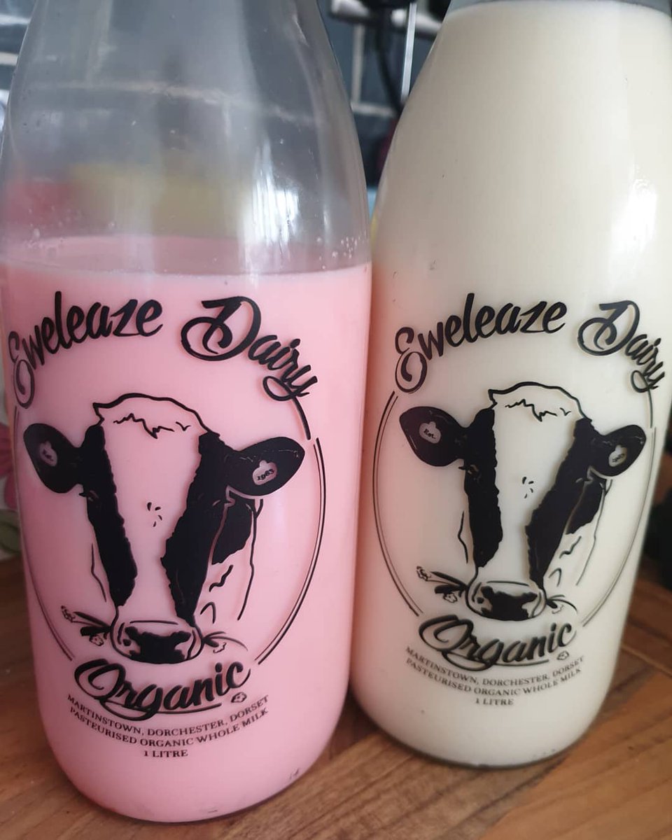 beckygaleOT's tweet photo. Lovely milk from Eweleaze dairy organic milk station in #Martinstown Strawberry milkshake and milk 🐄🥛🍓😍 #Dorset #supportlocal https://t.co/WSKVus8mWr