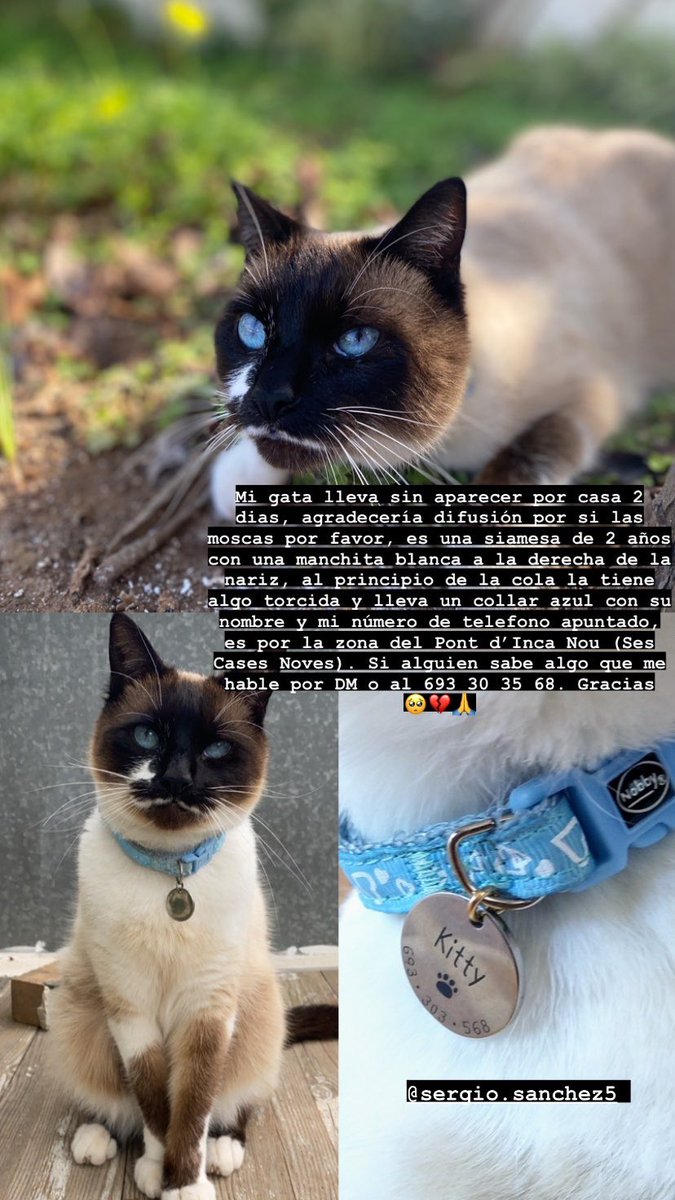 SoniaSancheez23's tweet photo. No se si volverá o cuanto tardará en volver, es muy importante para mi... 🥺💔 https://t.co/1UvGgP2eTM