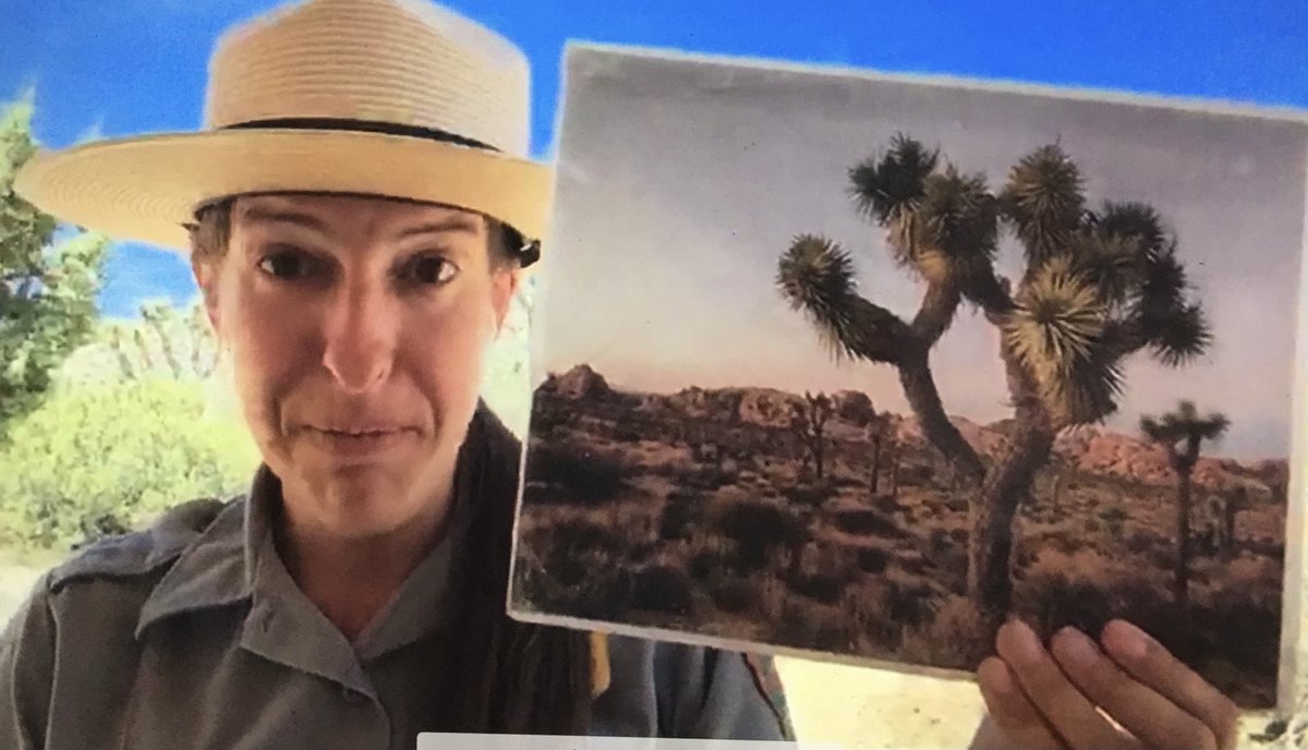 MrsRafaloff's tweet photo. Today we had a Virtual Field Trip at Joshua Tree National Park in California. We learned about the sponge like inside of the Joshua Tree, the desert, and the many animals that live there. Thank you Park Ranger! ⁦@eCollierAcademy⁩ ⁦@barbsouthwick⁩ ⁦@MrsKnapp_eCA⁩ https://t.co/ElktAchUio