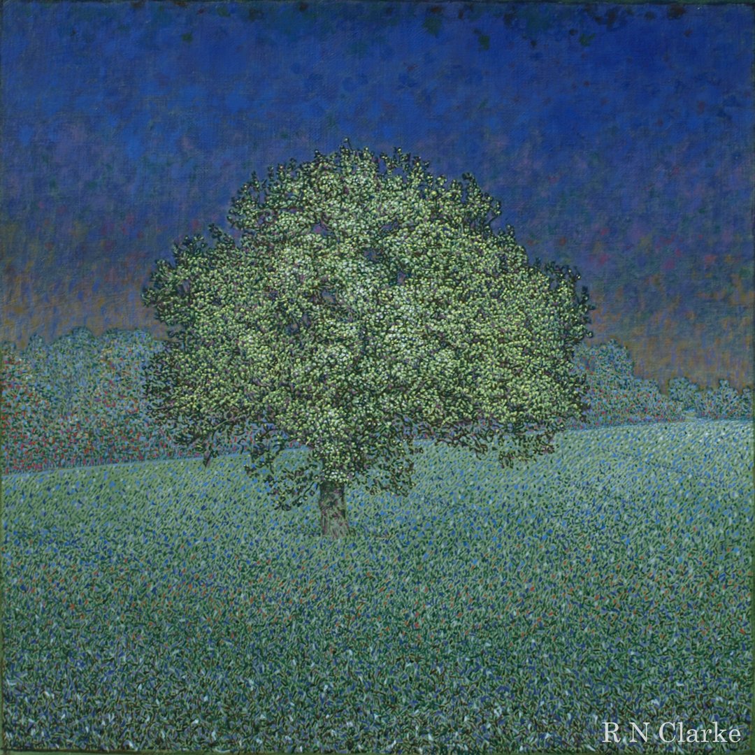 R N Clarke Fine Art tweet media