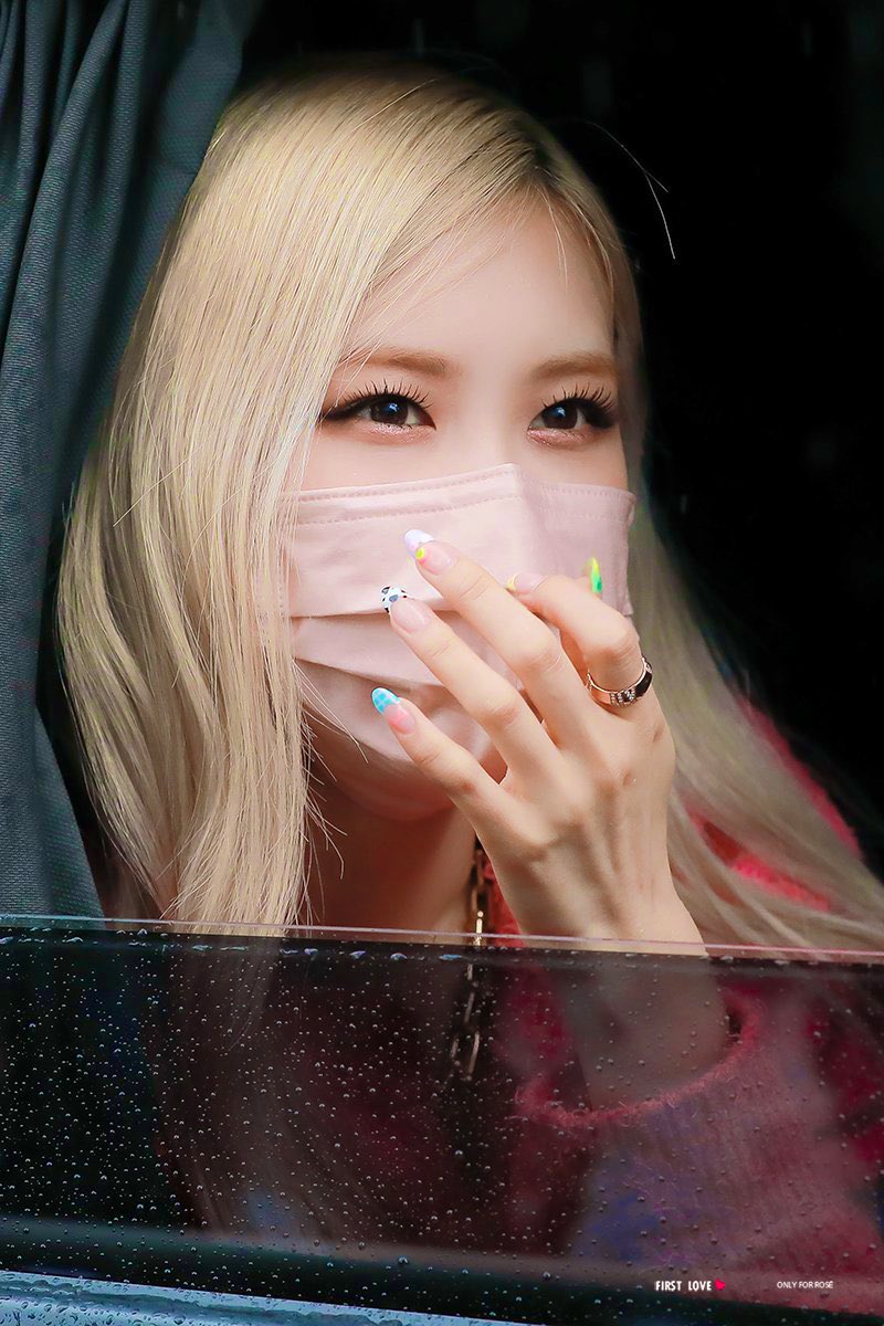 rosefancam's tweet photo. literally the prettiest https://t.co/rEE3sriLtD