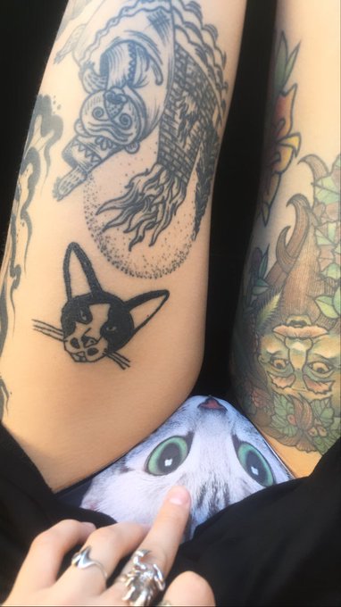 Meow! https://t.co/OgSrpENV8h