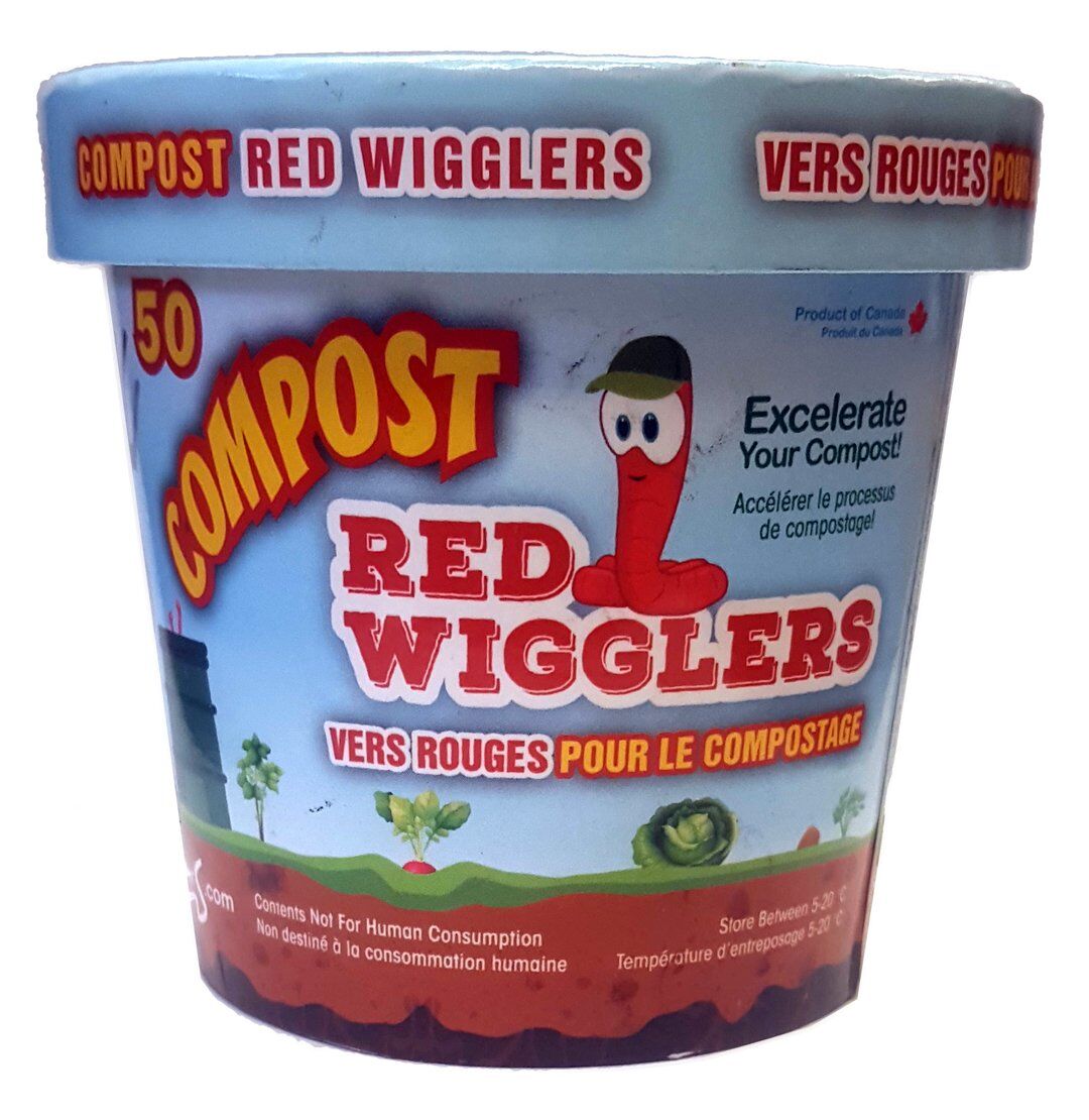 crittercrawlers's tweet photo. Critters and Crawlers has limited quantities of Compost Red Wigglers for sale! Grab yours before they are gone. Ideal for composting / vermiculture activities, each tub contains 50 red wiggler worms. Shop now >>> https://t.co/MgKt3a9Cjh
#redwiggler #redwigglers #worms #compost https://t.co/EXf9xPSOvO