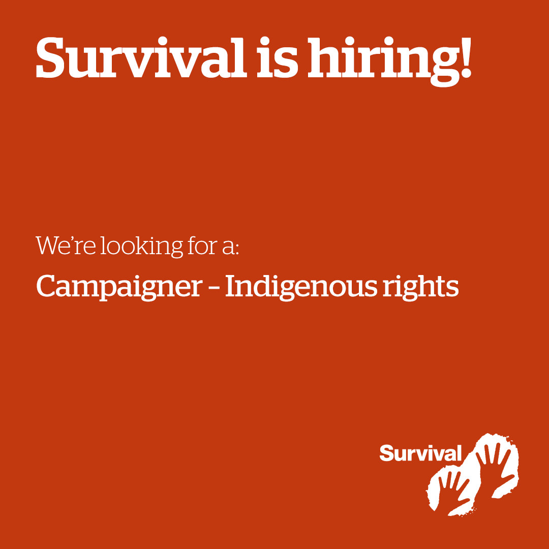 Survival's tweet photo. Join our team- Survival US is hiring for 2 positions 🏹🌳 🌎 for tribes, for nature, for all humanity!
 
See descriptions and application processes here: https://t.co/vCiQXHqZ17 https://t.co/UbaVYQd9xC