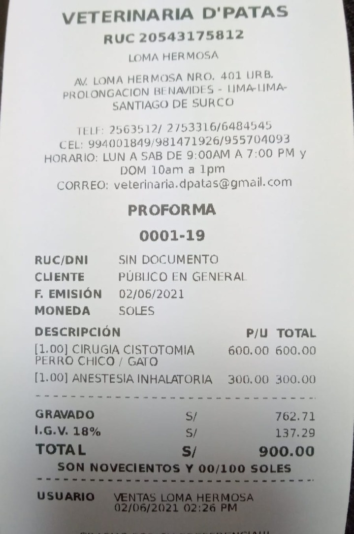CamiCruz1521's tweet photo. Hola!Hace 2 días mi perrita de 13años comenzó a orinar sangre, le hicimos exámenes(nada baratos)resulta que tiene cálculos en la vejiga q la están perjudicando mucho x su edad, necesita ser operada con urgencia. Por favor,así sea un sol cualquier apoyo es recibido😭Yape:981352903 https://t.co/19ccSUNxiH