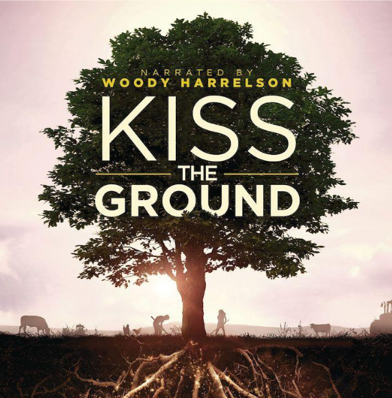 Strong Coasts tweet media