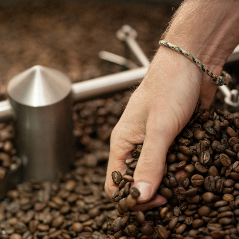 New Ebook: A Roaster's Practical Guide to Coffee Blending by our Director of Education, Chris Kornman. Download the blending guide: zcu.io/j7II 

#specialtycoffee #specialtycoffeeroasters #coffeeroasters #opensourcecoffee #greencoffee #coffeeblending