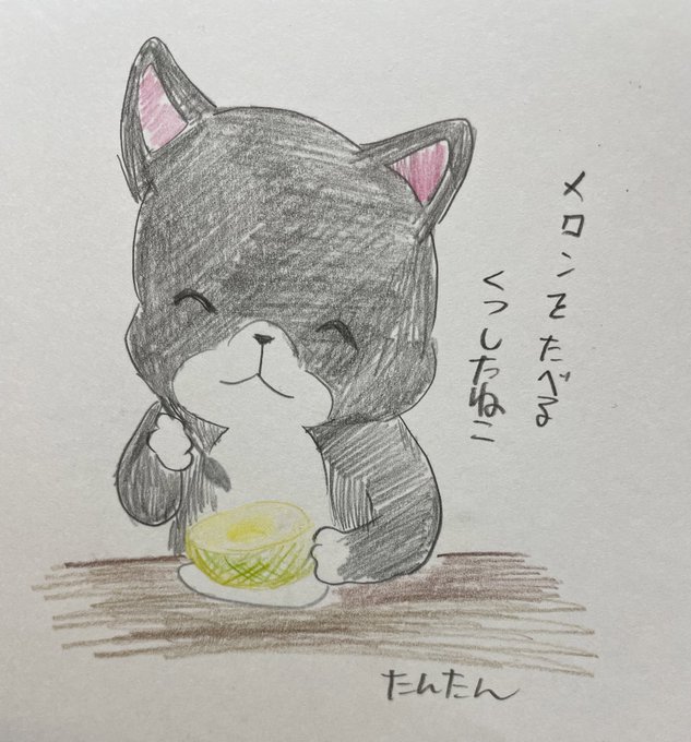 メロンを食べるくつしたねこ

#イラスト #猫 