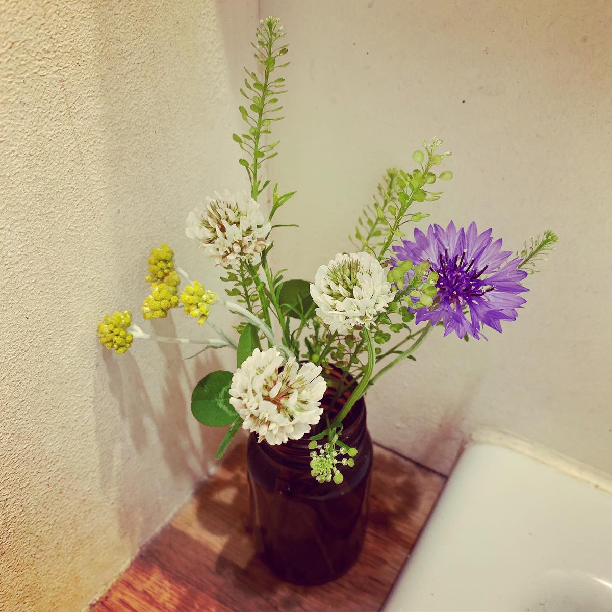 矢車草 のイラスト マンガ コスプレ モデル作品 1 件 Twoucan