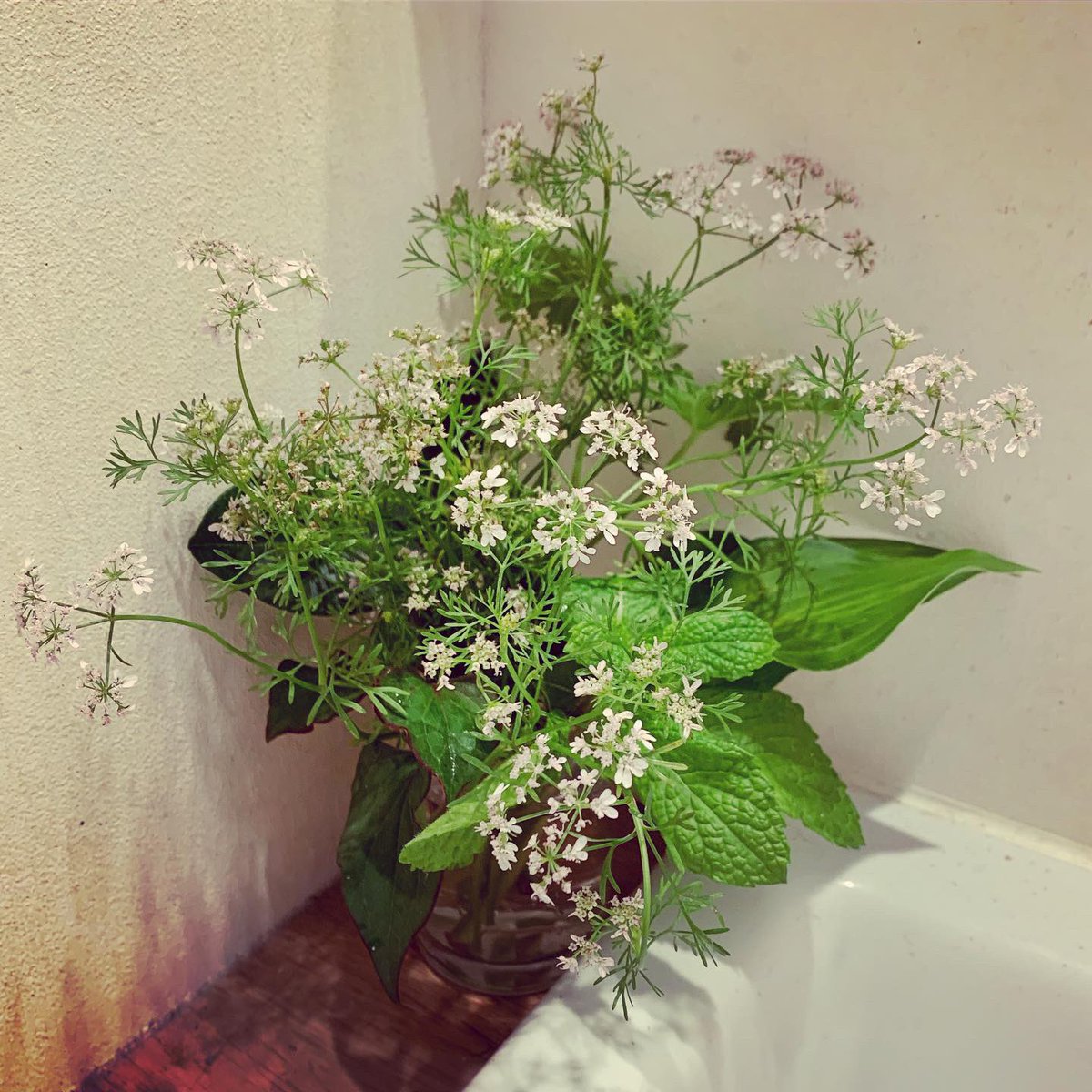 矢車草 のイラスト マンガ コスプレ モデル作品 1 件 Twoucan