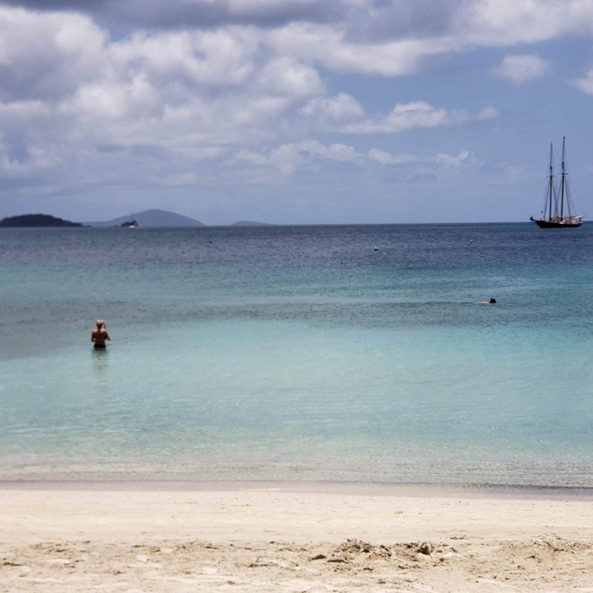 Charles Bell tweet media