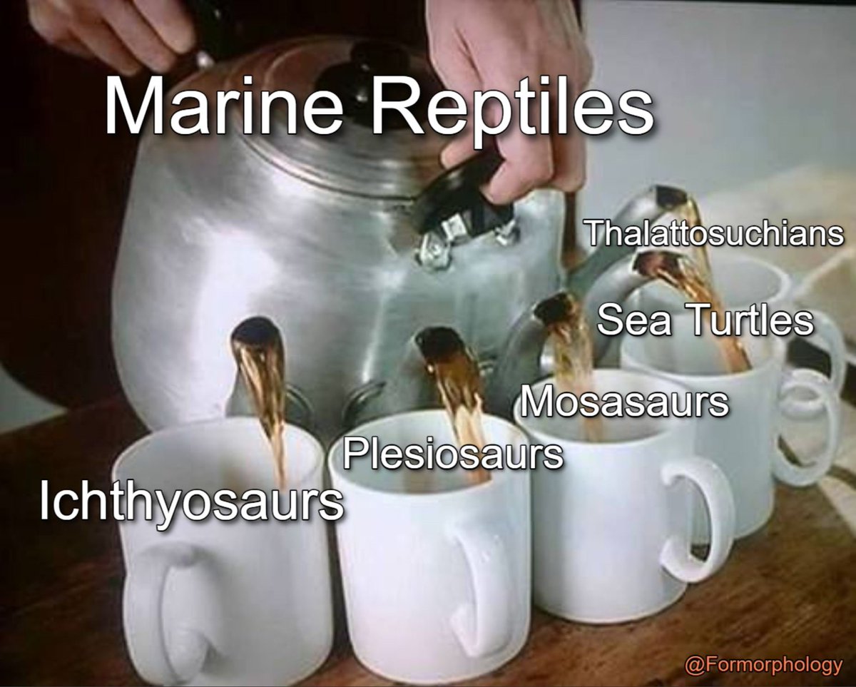 Kiersten Formoso, PhD(elulu) tweet media