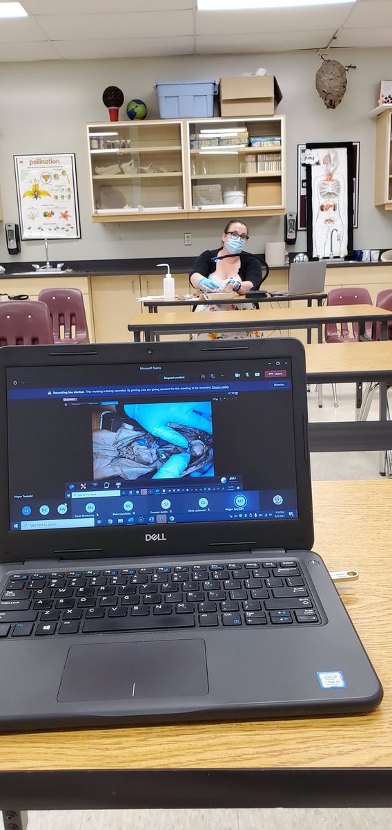This little piggy went to @ElearningSpirit . Had so much fun moderating this virtual dissection today! #fetalpigdissection #Biology #engagement #sidebysidevirtuallearning <a href="/prairiespiritsd/">Prairie Spirit SD</a>