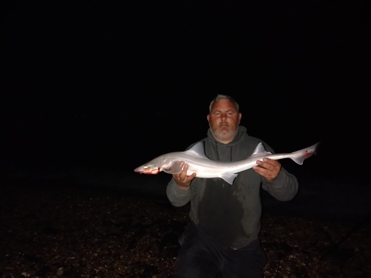 barryflack1's tweet photo. 5 smoothounds for me early hours Sunday morning 6lb to 11lb 8oz https://t.co/jqe3nBOCPC