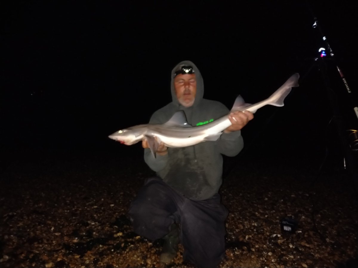 barryflack1's tweet photo. 5 smoothounds for me early hours Sunday morning 6lb to 11lb 8oz https://t.co/jqe3nBOCPC