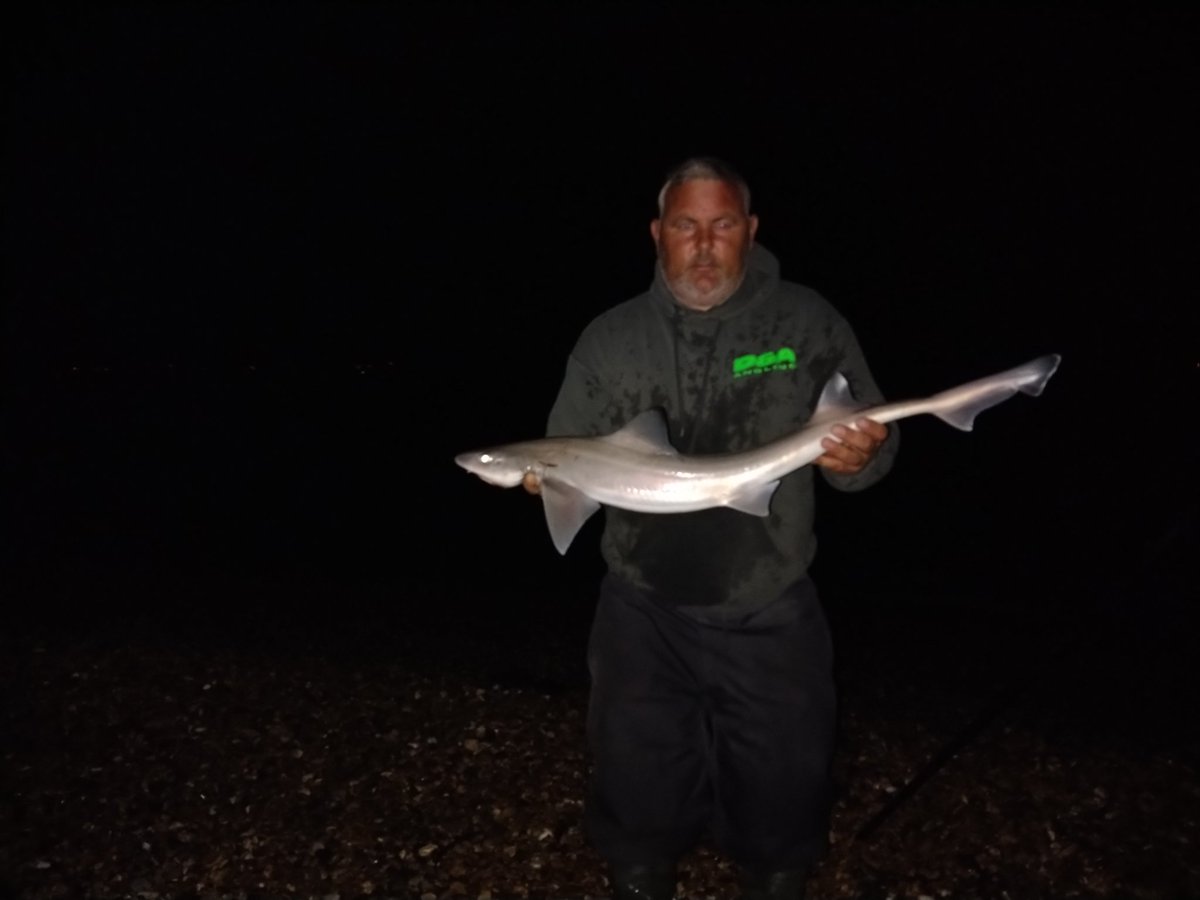 barryflack1's tweet photo. 5 smoothounds for me early hours Sunday morning 6lb to 11lb 8oz https://t.co/jqe3nBOCPC