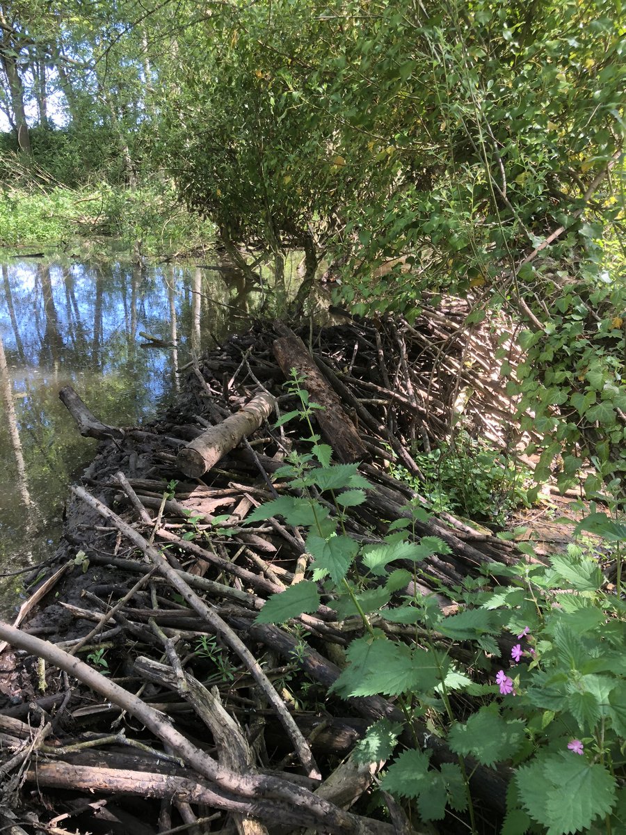 Water Resources East tweet media