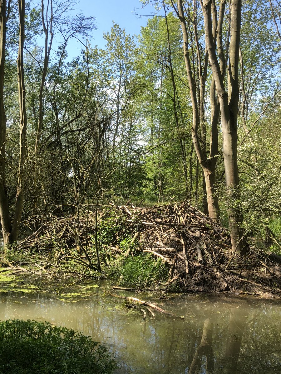 Water Resources East tweet media