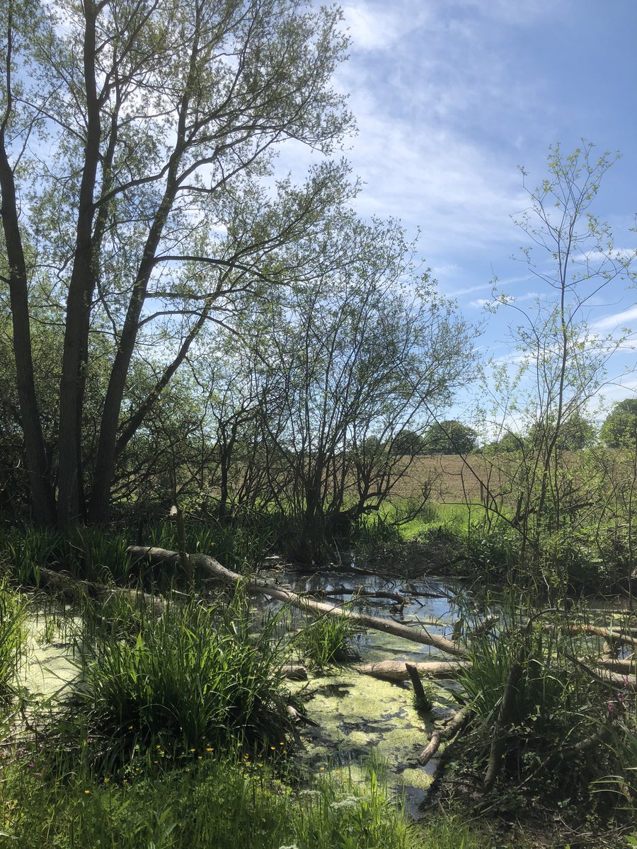 Water Resources East tweet media