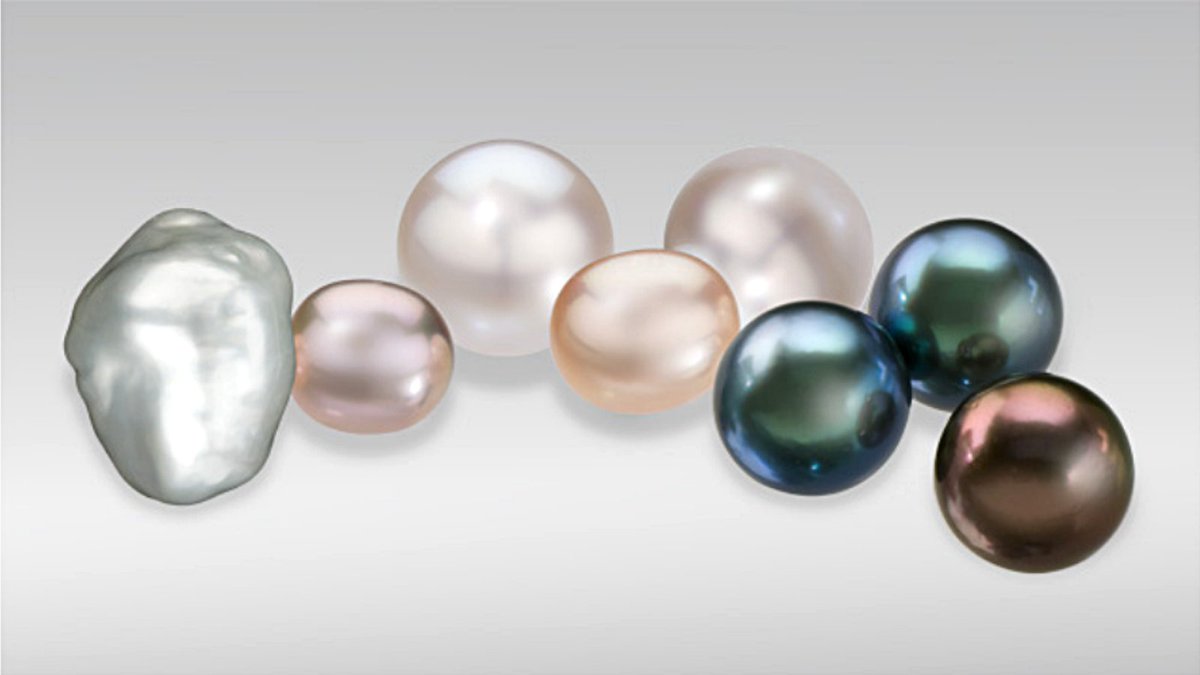 VandenbergsMB's tweet photo. Every pearl is unique, no two are alike and all have some imperfections…. kind of like us!  

But what exactly is a pearl? How is it formed and where do they come from? Read more about it on our blog!
https://t.co/H6HmiCH0BP

#junebirthstone #pearl #blogpost https://t.co/ygRdFH6WdE