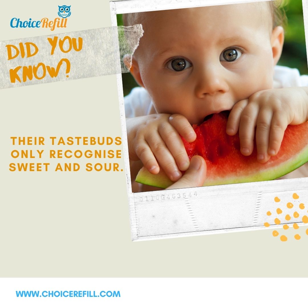 SmellLockTech's tweet image. Their tastebuds only recognize sweet and sour. #FunFact