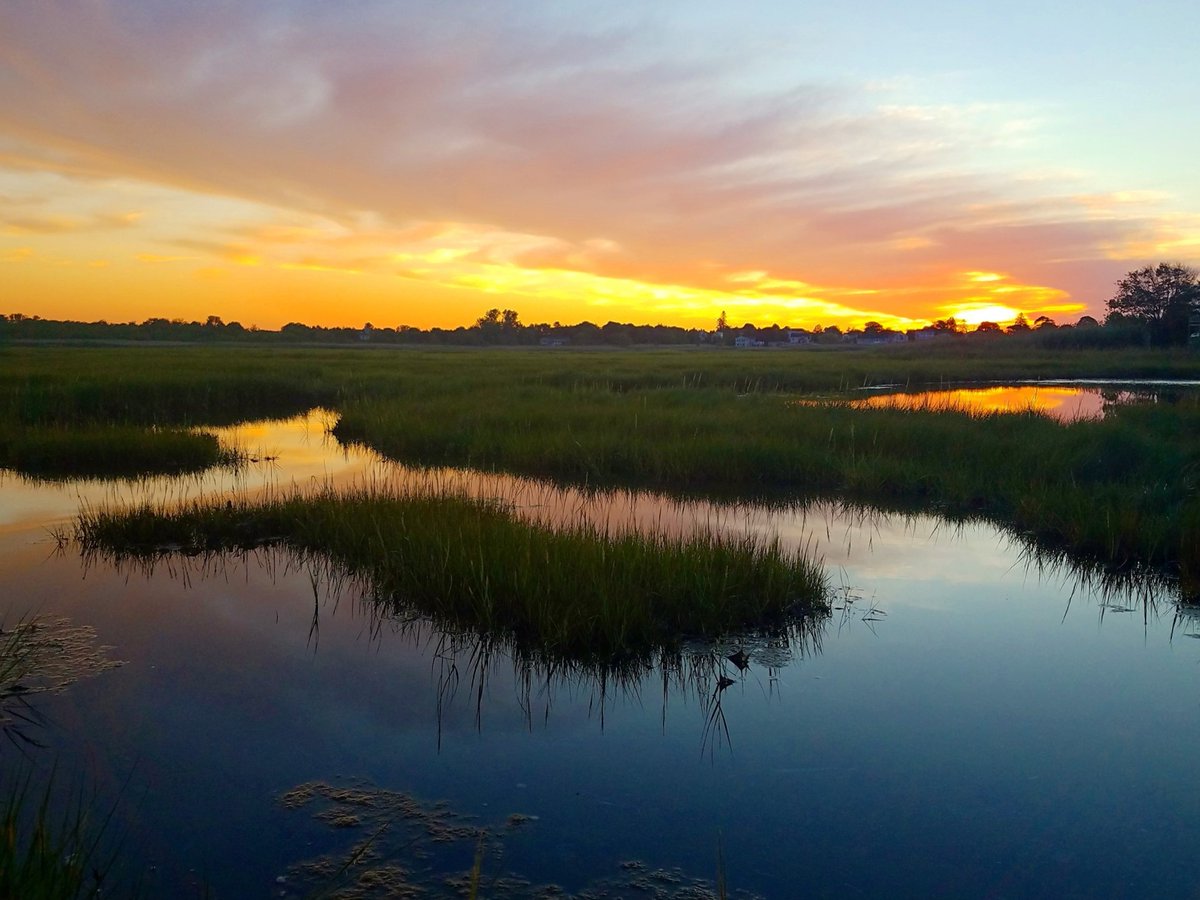 USFWSNortheast's tweet photo. We need a coast designed to withstand the impacts of rising sea levels and more frequent intense storms to protect coastal communities &amp; wildlife experiencing  effects of #climatechange first-hand. Luckily for us, nature already has the design.
https://t.co/ueGLRMvFFk https://t.co/iaxuc1Ydsj