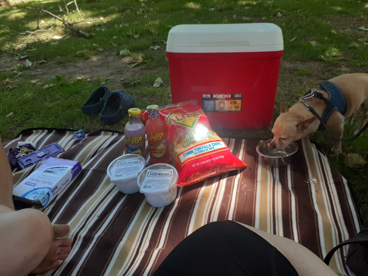 GypsyVanpires's tweet photo. When you live in a van, you go to the park for a picnic when it's 95 degrees outside. #vanlife #freedom https://t.co/4ClQ3vETfc