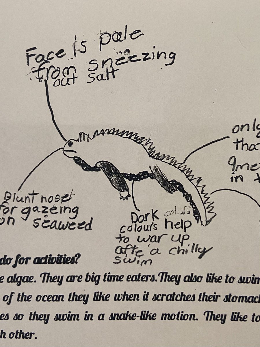 Diane_galuppo's tweet photo. 5th graders wanted to know more about these odd phenomena, such as UFOs, UAPs, aurora borealis, narwhal tusks, blue volcano... #readingwritingworkshop @FSDVikings https://t.co/wsnz3Z8wf1