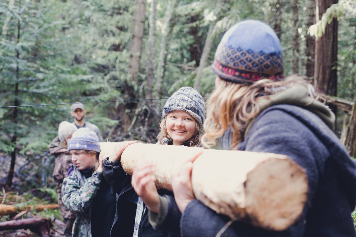 What is your experience in nature? Join us on Monday, June 7, for a virtual screening of "Earth Seasoned: #GapYear" followed by a discussion with local guests from Forest Play &amp; Canmore Girl Guides.
artsplacecanmore.com/whats-on/commu…
