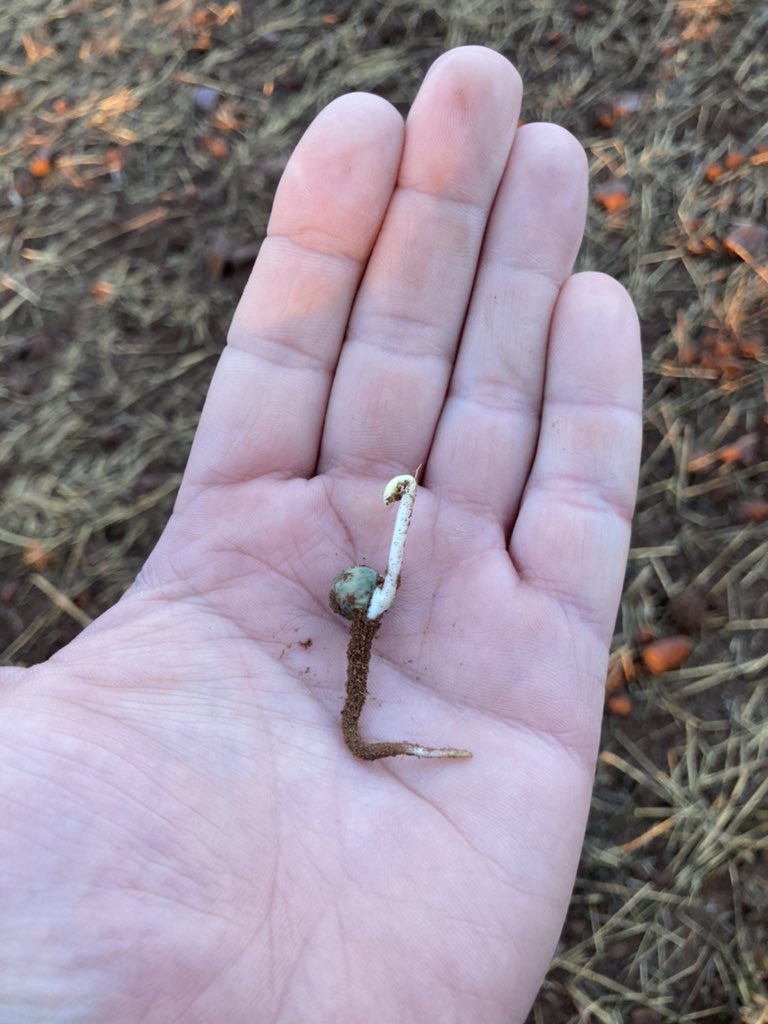 First signs of life!