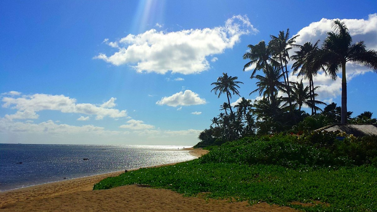FlexAcademyVPS's tweet photo. Calling all Flex students! Come join us on Friday, June 4 from 3:30-6pm, for our Hawaiian Luau-themed party!  COVID 19 protocol will be followed!!  Safety first!  Come for the food.  Stay because...people.

You need a ride. 

A permission slip is a must: https://t.co/3FhVZlTD9U https://t.co/qAlquwAVF5