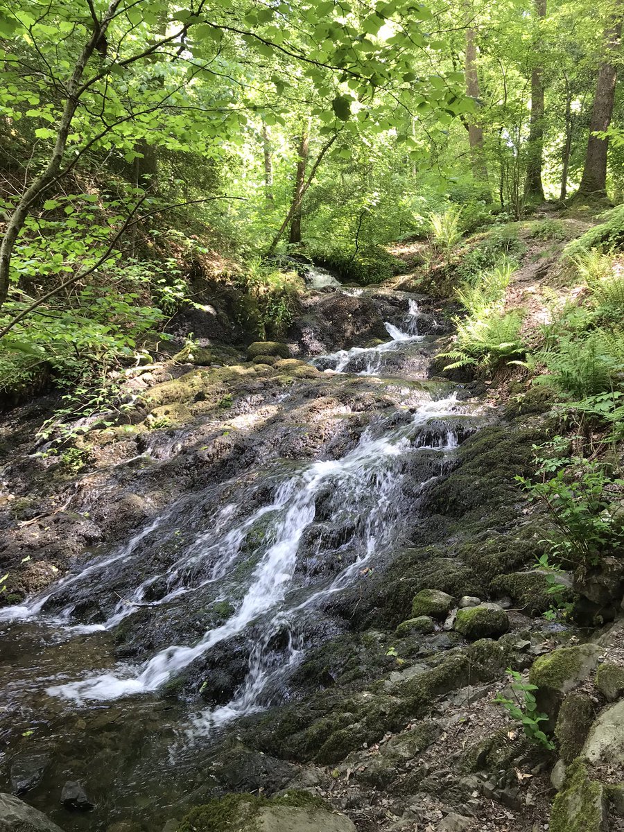 geography_ben's tweet photo. A geographers paradise 🙌😎🌍🧭#LakeDistrict #teaching #geographyteacher #Geography #nqt #windermeare https://t.co/5Sg6lgQqN0