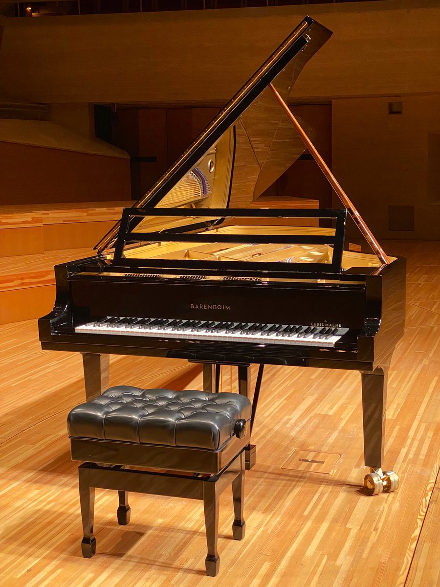 バレンボイムピアノにようやく会えると思ったら中々寝られなかった。川口成彦さんのリサイタルで平行弦ピアノでしか弾けない曲がある事がわかりました。交差弦のピアノでは響きが滲んでしまう、これは言ってみればスタインウェイの平行弦版で混じらない音同士がどう作用するか楽しみで仕方ありません。