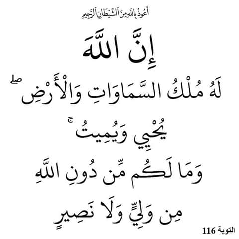 جمال فتحى (@59oo5izguteow1b) on Twitter photo 