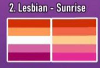 SkellyBeans09's tweet photo. Okay so uh.... eye strain warning mostly because it hit me like a ton of bricks 

#PridePalettes day 2 with the lesbian sunrise! Featuring younger versions of Purlwinks moms #pridemonth #PRIDE #pride2021 https://t.co/2XcFwClQZo