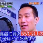 布団のダニを殺す方法教えます!梅雨の季節だからこそ是非‼