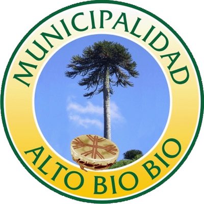 Comuna Alto Biobío tweet media