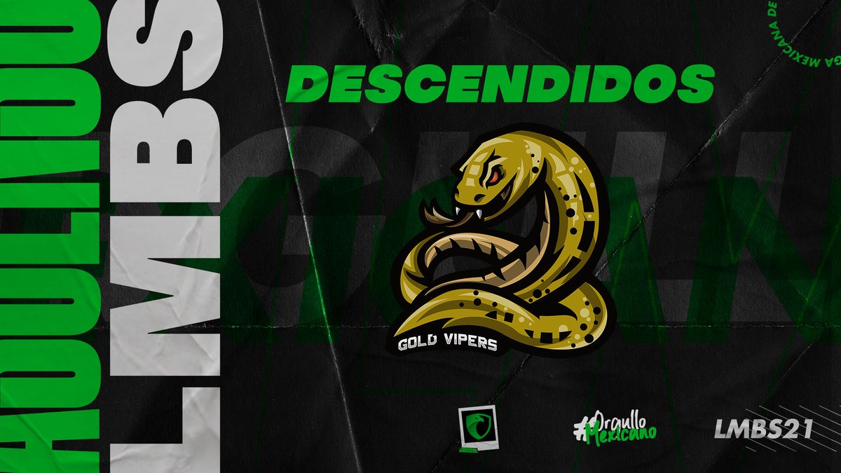AscensoLMBS's tweet photo. También agradecemos a @GoldVipers_CRC por dejarlo todo en cada partido.

¡LOS ESPERAMOS DE VUELTA! 👏🏽 https://t.co/Kl2mBmqNiK