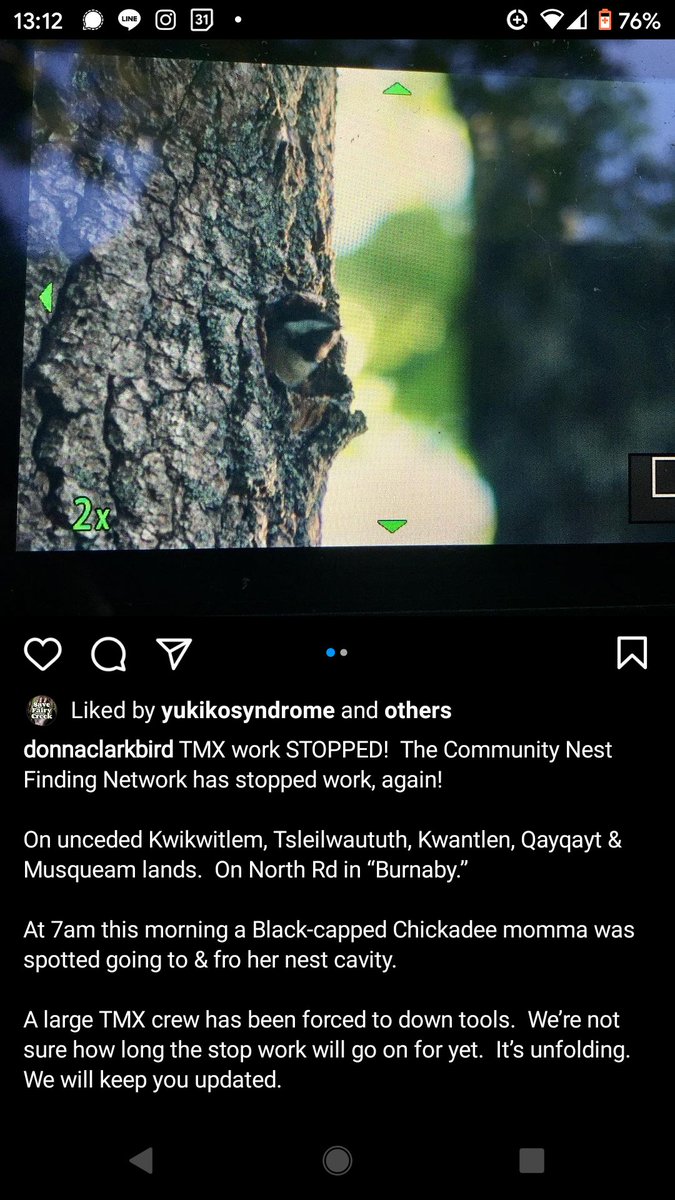 Another work stoppage! CNFN found a nest this morning forcing TMX workers to stop work. 

Why is TMX not vetting these sites more carefully before starting work? Are they hoping to not get caught? #StopTMX #nomoredestruction 

instagram.com/p/CPoNHeAMcjo/…